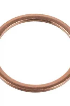 Arandela tapón de cárter N0438541 31x26x2 Descuento